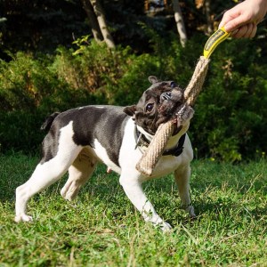 Длинная кусалка из джута «Dog attacks» для французского бульдога
